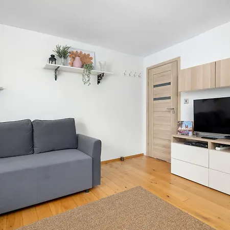 Bright In Cracow Center With Desk Close To The Park By Renters *