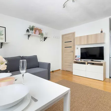 Bright In Cracow Center With Desk Close To The Park By Renters